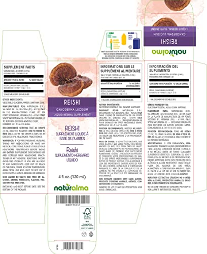 Naturalma Chaga Cordyceps Reishi Shiitake Lion’s Mane | Bundle 4 Fl Oz Liquid | Mushroom Alcohol-Free Tincture | Herbal Supplement | Vegan | Product Of Italy #TOP3