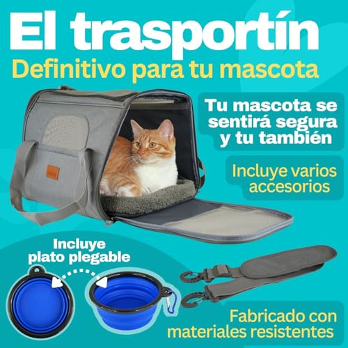 Miniatura 7 de 