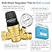 Renator RV Water Pressure Regulator for RV Camper. Brass Lead-free Adjustable Water Pressure Regulator with Gauge for Camper Travel Trailer, Reducer Valve W Filter. M22-0660R.