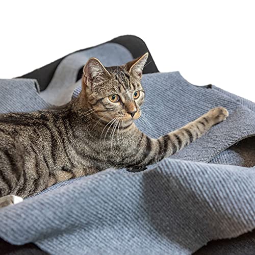 CanadianCat Company ® | Spielteppich XXL für Katzen | Katzenspielzeug - Kratzmatte | grau | ca. 90 x 120 cm Cover