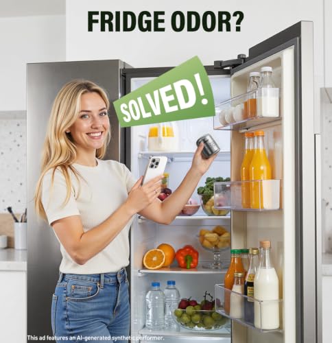 Image of Fridge Deodorizer, Lasts Up to 10 Years, Stainless Steel, Gray