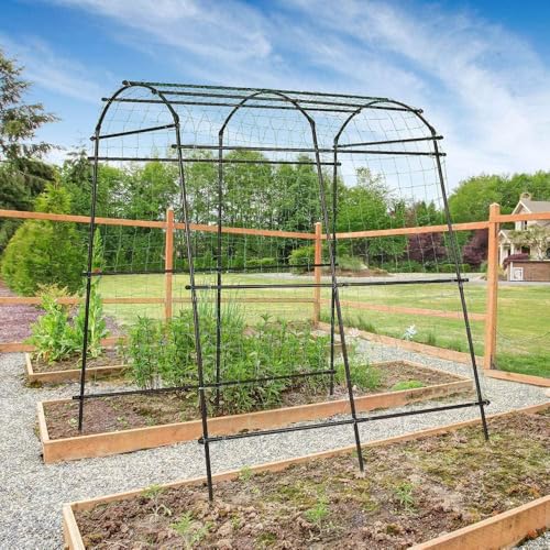 Lalahoni RJ-ZWPTJ-H220W180 Garden Arch Trellis For Climbing Plants Outdoor thumb #6