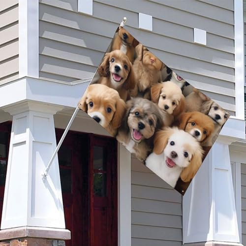 Drapeau chien mignon de qualité supérieure, polyester durable avec 4 œillets de fixation - 5
