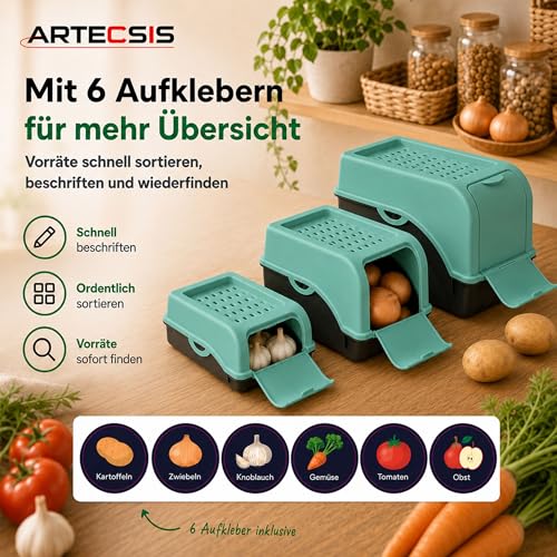 ARTECSIS® 2x Kartoffel Aufbewahrungsbox mit Deckel 4 kg mintgrün – Ansicht 4
