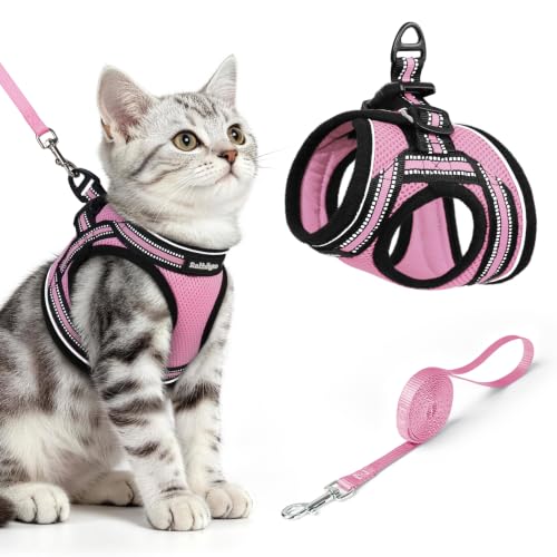 Image of rabbitgoo Cat Harness and Leash Set, Step-in Soft Vest, Pink | Escape Proof, Lightweight, Easy-on & Adjustable, Hook & Loop with Buckle, Reflective, for Kittens & Small Cats Walks, M