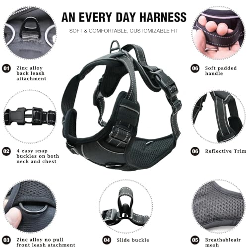 Image of Lyrovo Adjustable No-Pull Dog Harness with Leash Set for Small, Medium & Large Dogs - Reflective, Breathable, Comfortable Vest Harness for Training & Walking (Black, M (14-22Kg))