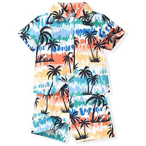 HIHA 6-9 Months Baby Boy Summer Infant Hawaiian Outfit Short Sleeve T-shirt Top Shorts Beach Clothing Coconut Tree Cover