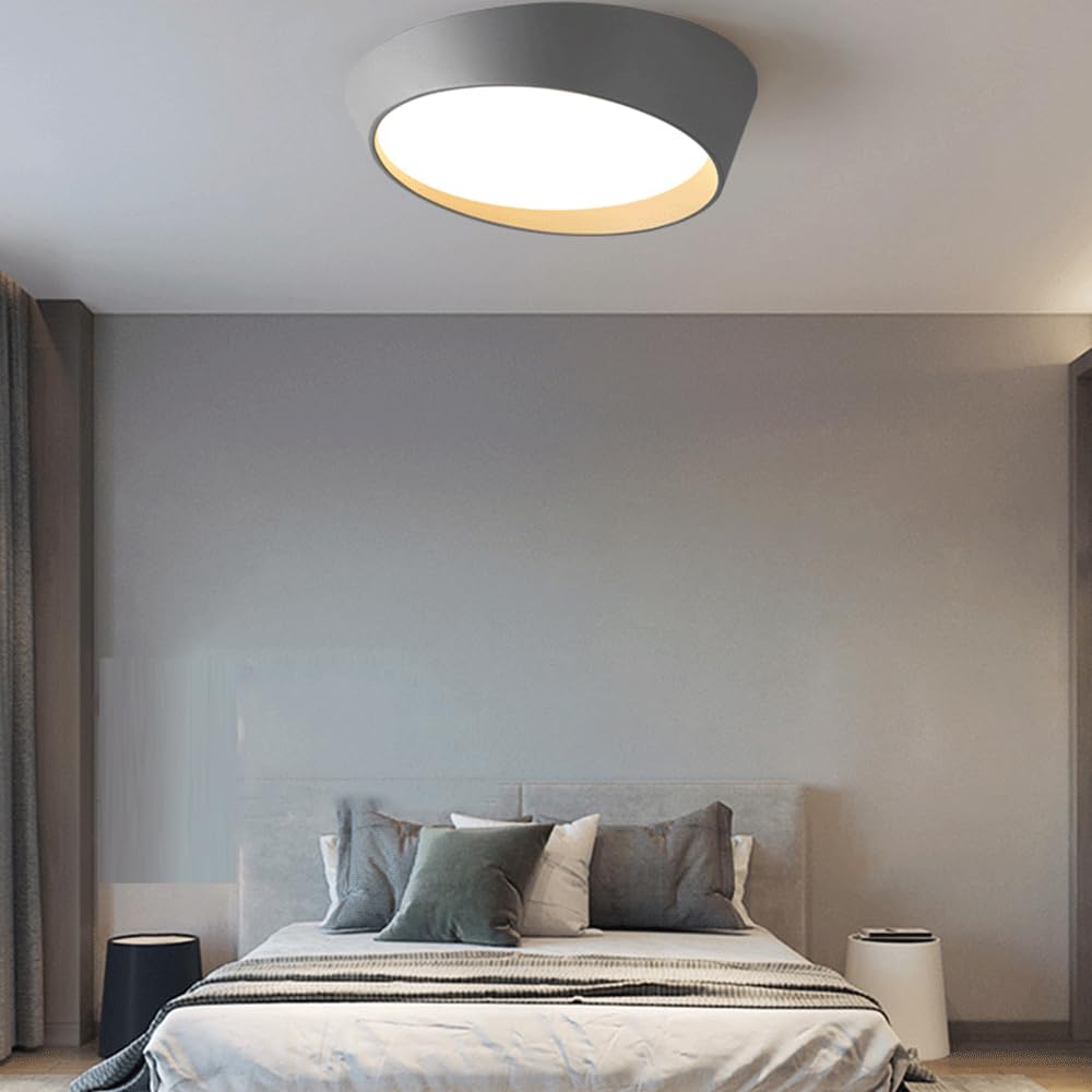 Plafonnier LED Intensité Variable Design Simple Éclairage Proche du Plafond pour Chambre Moderne