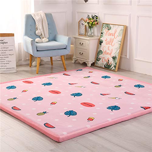 DSSHENGDS Coral Velvet Rug for Bedroom Dormitory Yoga,Home Decor for Living Room,Educational Classroom Nursery Bedroom Crawling Mat Non-slip Rug 2cm-K- 200 * 260cm