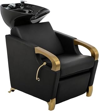 Buy-Rite Luna Gold Shampoo Backwash Unit with Porcelain Bowl