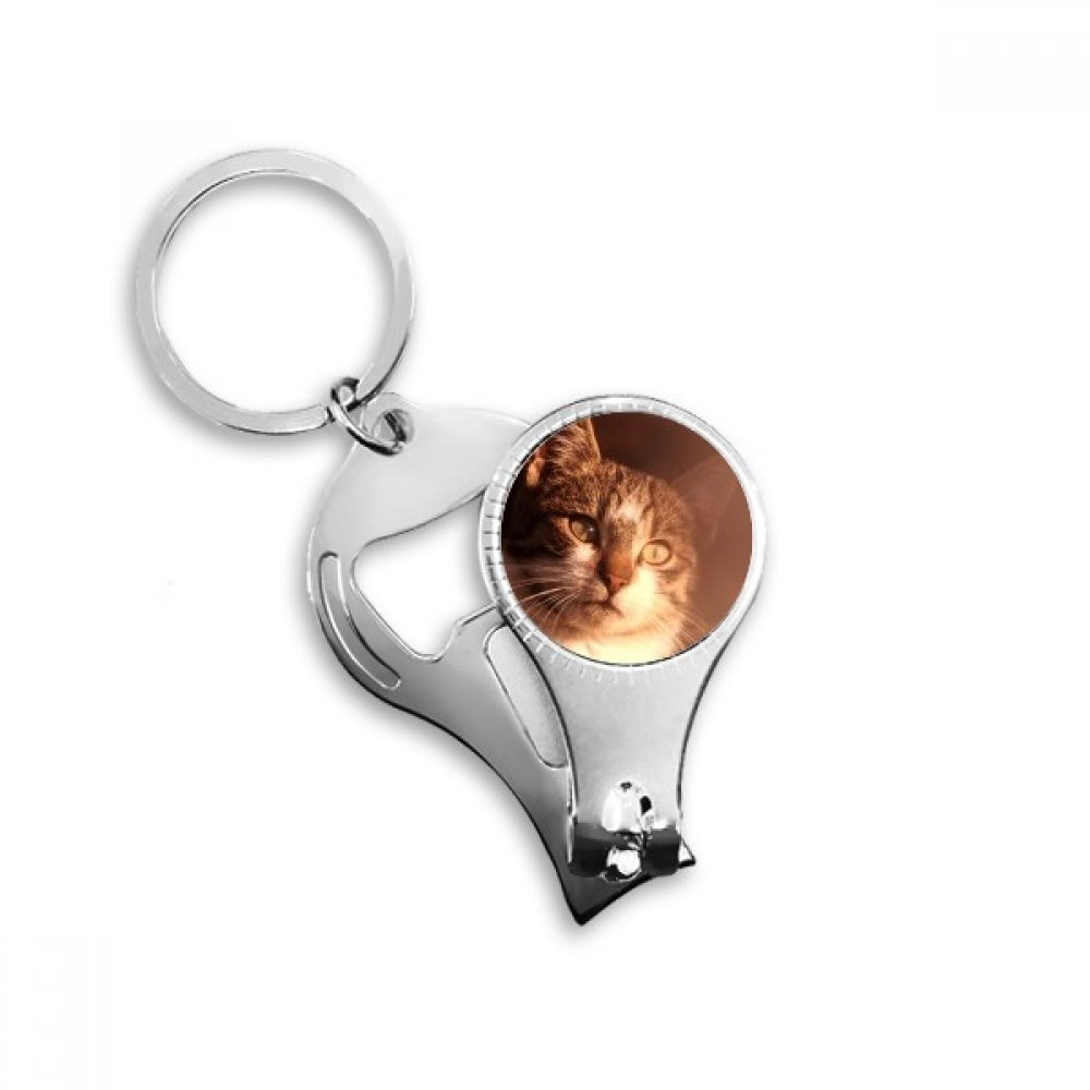 Tire-bouteille à ongles Simpol en forme de chat mignon pour ouvrier et cuisine