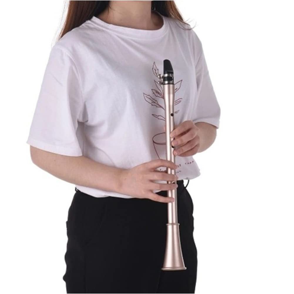 Sanfoelek - Saxofón de bolsillo, ABS, mini saxofón portátil, con bolsa de transporte, instrumento de viento de madera