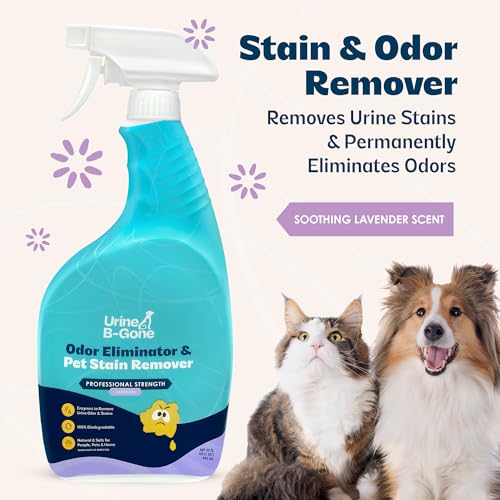 Image of Urine B-Gone Enzyme Cleaner for Human, Cat & Dog Urine, Lavender, 32 oz