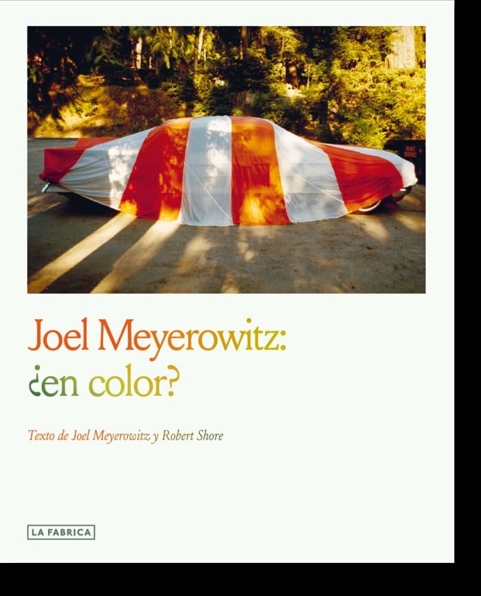 Joel Meyerowitz:¿en color? (Libros de Autor.)