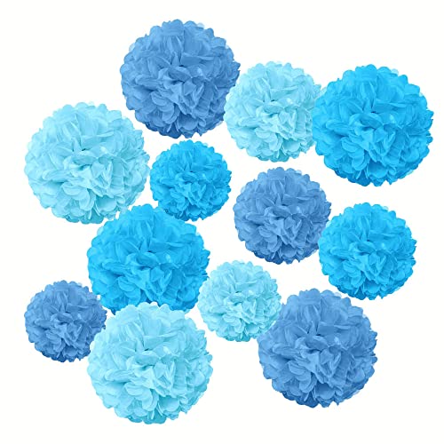 Blue Paper Pom Poms,Blue Tissue Pom Poms Hanging Decorations,Blue Party Decorations(12 Pcs) #TOP3