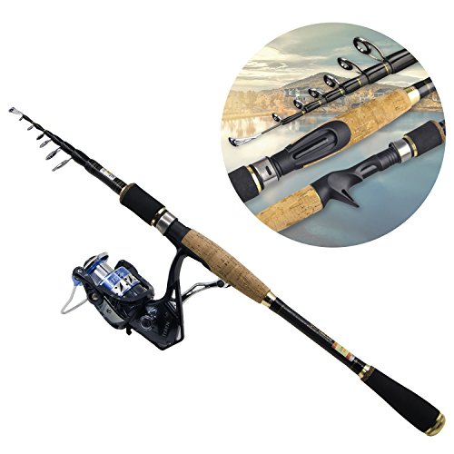 compact travel fishing rod