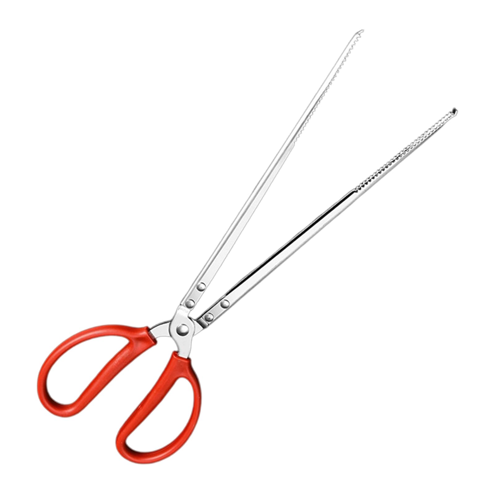 Professional Garbage Color Tongs Antislip Long Handle Outdoor Pliers for EEL Catching Fish Grabbing Rustproof Rustproof Steel Anguilla Clip