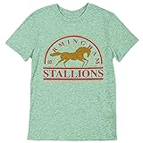 Birmingham Stallions - Heather Mint Unisex T-Shirt (3X)
