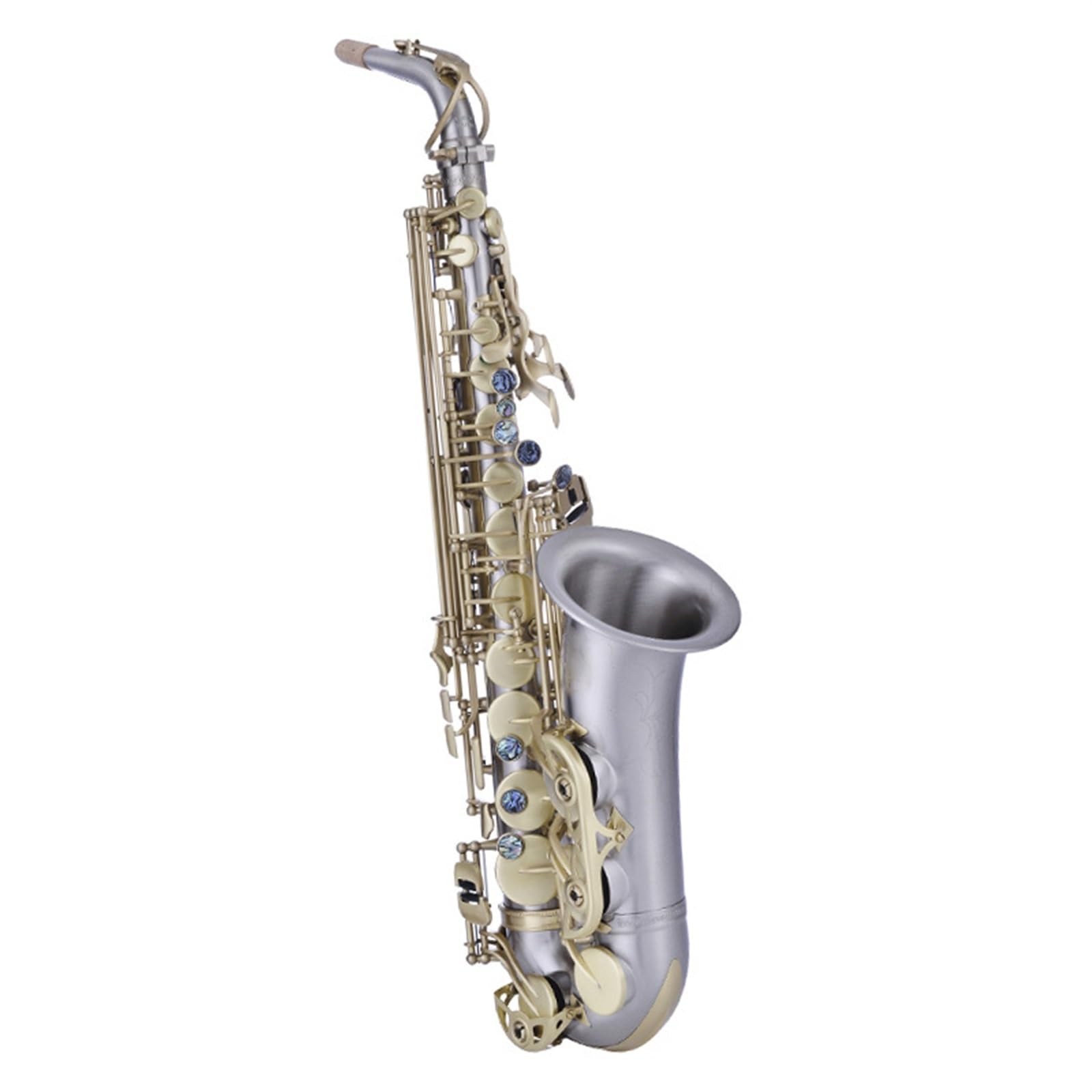 Saxofón Alto En Mi Bemol Para Principiantes En Instrumentos De Viento. Examen De Interpretación Y Calificación Profesional
