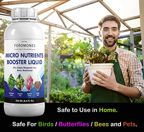 Image of Combo Of Pure Seaweed Extract And Micro Nutrient Booster Liquid - Fertilizer For Home Gardening