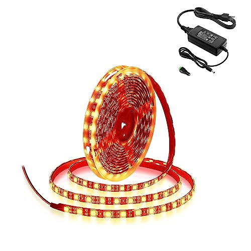 Tira LED naranja ALITOVE 5 m 300 LEDs 12V con fuente miniatura 1