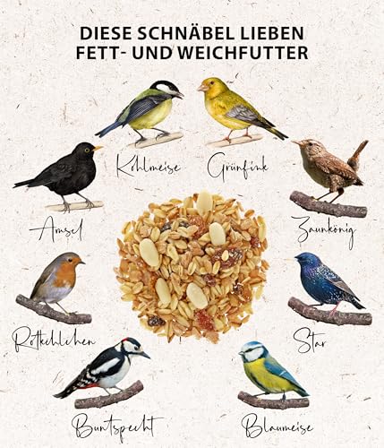 Dehner Natura Premium Wildvogelfutter, Fettfutter / Weichfutter, Ganzjahresfutter artgerecht / kraftspendend, hochwertiges Vogelfutter für Wildvögel, 2.5 kg – Bild 4