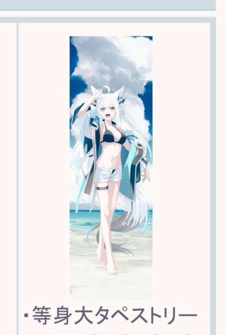Amazon.co.jp: こみトレ C104 白上フブキ 等身大タペストリー : おもちゃ