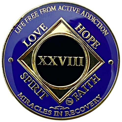 NA 28 Year Gold Color Plated-Medallion, Recovery Chip, Narcotics ...