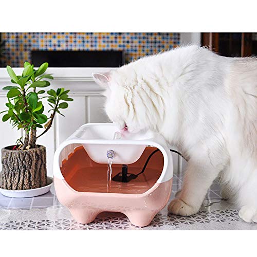 HAJZF Système de détection Radar pour Animaux de Compagnie avec fontaines automatiques de Grande capacité, distributeurs d'eau pour Chiens de fontaines pour Chats,contrastcolor2