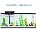 300 Watt Aquarium Heater Fast Heating Titanium Tube Saltwater Fully Submersible Fish Tank Heaters with LED Digital Temperature External Controller Freshwater Safety Pinpoint Thermostat 53-80 Gallon 1