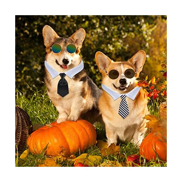 8 pcs pet dog cat costume dog neck tie and dog sunglasses for small dog cat round metal cat classic retro sunglasses cat tie pet costume tuxedo necktie collar puppy grooming accessories cosplay party - image 8