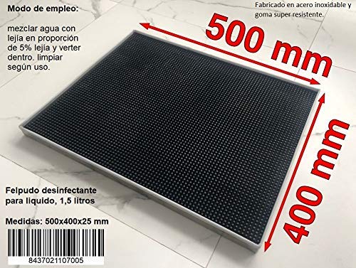 Preisvergleich Produktbild Mi Casa Fußmatte, Desinfektionsmittel