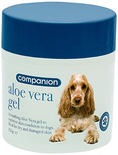 6 Things Every Dog Owner Should Know About Aloe Vera 51aldIV4CCL. SL500