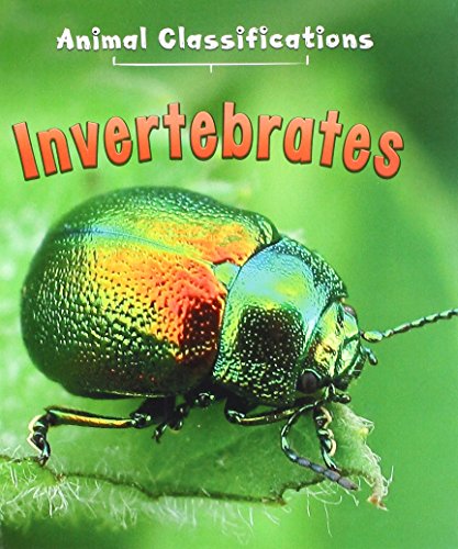  Invertebrates