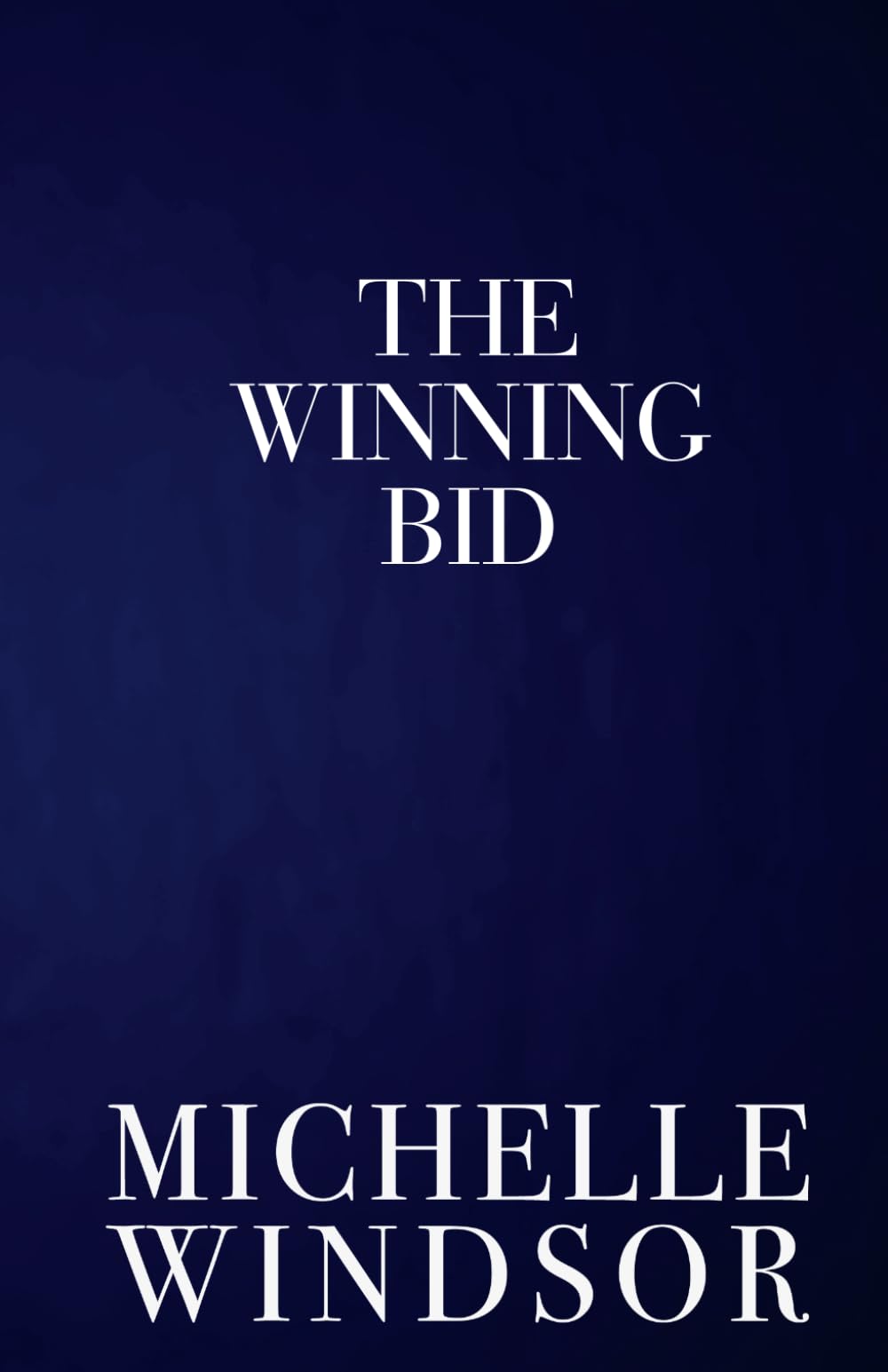 The Winning Bid: Discreet Special Edition (The Auction Series, Discreet Special Edition)