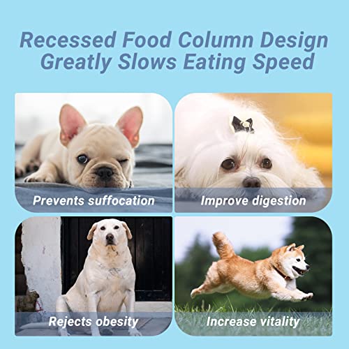 Mypetags Dog Bowl Slow Feeder Dog Bowls Dog Lick Mat Dog Bowl Mat Dog Anxiety Relief, Dog Bowls Small Size Dog, Lick Mat For Dogs #TOP3
