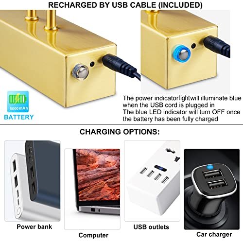 Funchday Picture Light Wireless, Battery Rechargeable Art Lamp With Remote, 280Lm Dimmable Led Painting Lighting, 16Inch Rotating Picture Lights For Paintings,Wall Display,Mirror (Brass) #TOP3