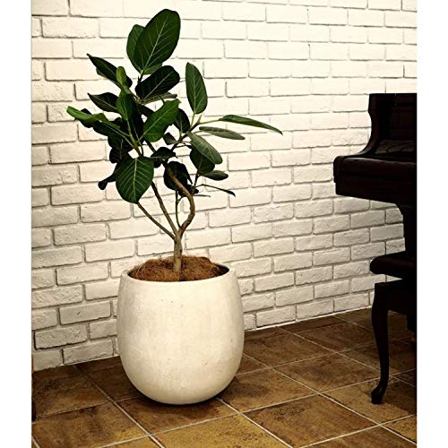 Amazon.co.jp: グラスファイバー製 軽量植木鉢 テラニアス バルーン
