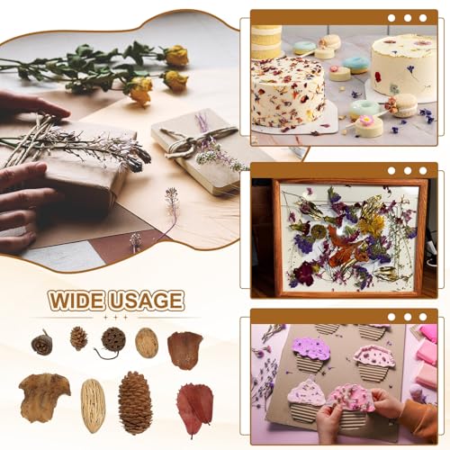 Set Natural de Flores Secas para Manualidades miniatura 6