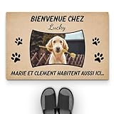 Cadeau Plus Tapis Personnalisé Prénom - Les Chiens vivent Ici - Paillasson Personnalisé Animaux, paillasson Chien personnalisé, Paillasson Entree, Tapis d'entrée personnalisé (Modèle #1)
