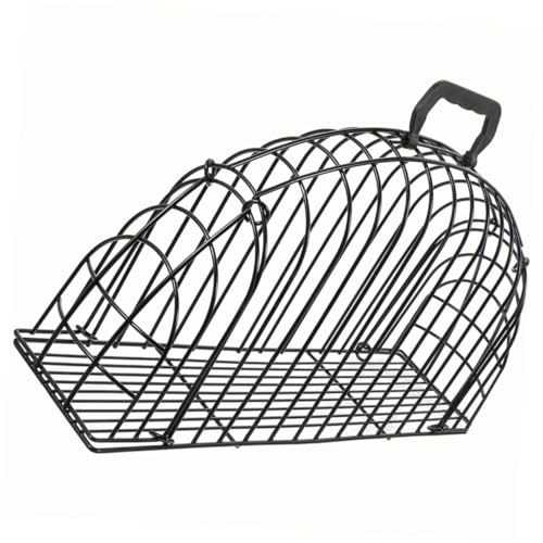 VERDANVERSE ϖՐ|[^uLoXP[W ʋC R݌v ybgO[~Oܐ؂pP[W