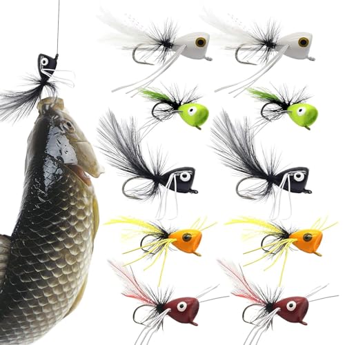 Generisch Barsche Popper Fliegenfischen Köder Set
