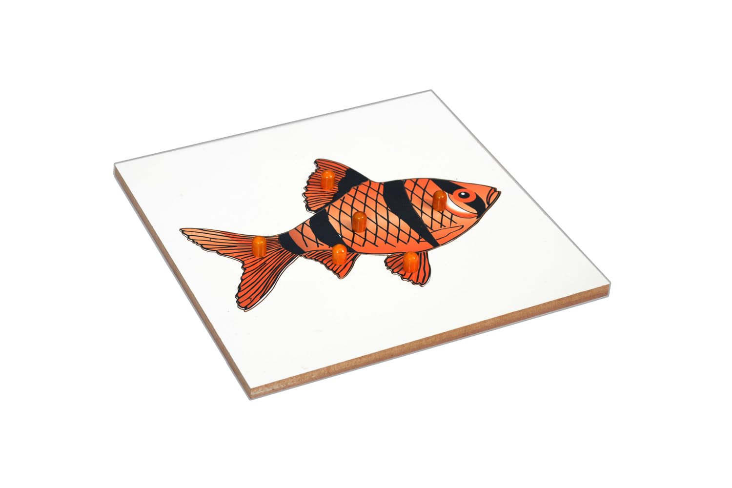 Kidken Montessori Fish Puzzle | Wooden Pegged Fish Puzzle for 2+ Year Kids | Early Educational Toy Gift | Montessori Puzzle | Learn Parts of Fish (B00W1IYST8) Amazon Price History, Amazon Price Tracker