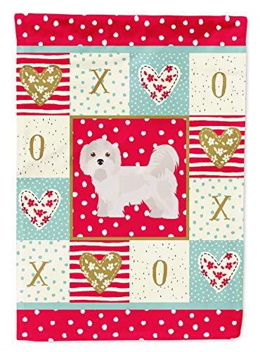 Kyi-Leo Love Flag Caroline's Treasures Grand Drapeau de Maison en Toile Multicolore CK5855CHF