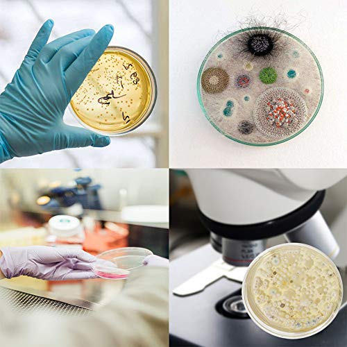 30 PCS 90 x 15 mm Sterile Plastic Petri Dishes with Lid,Bioresearch Sterile Petri Dish,Culture Dishes with Lids,Perfect Kit for Medical,Biological,and School Science Fair Projects Birthday Parties