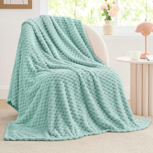 Image of BEDELITE Haze Blue Throw Blanket for Couch, Soft Cozy Gift for Women, 50*60 | 3D Jacquard Decorative Fleece Blanket, Super Soft Plush Throws, Cute Birthday Gift for Women & Men, Suitable for All Seasons