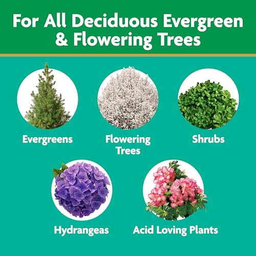 Image of Miracle-Gro Tree & Shrub Plant Food Spikes, 12 Spikes | For Deciduous, Flowering and Evergreen Trees, Hydrangeas, and Acid-Loving Plants