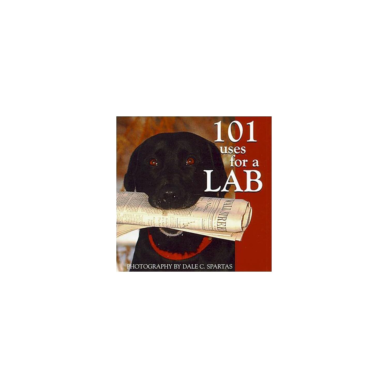 101 Uses for a Lab