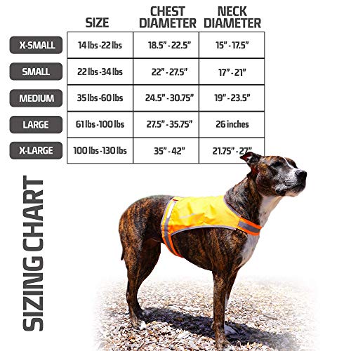 SafetyPUP XD Lite Dog Vest. Coverage to Mid Back. Reflective Hi Visibility Blaze Orange Fluorescent Fabric Helps to Keep… - Image 3