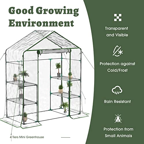 BLUU Greenhouse, Portable Green House Indoor and Outdoor, Mini